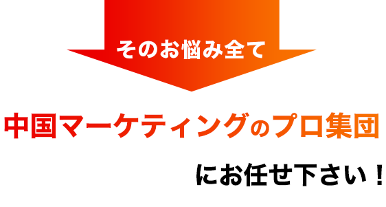 中国マーケティングのプロ集団CHINAADにお任せ下さい