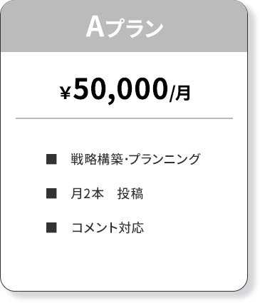 Aプラン ■　戦略構築･プランニング ■　月2本　投稿 ■　コメント対応 