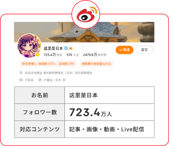 中国独自メディアの正規代理店！
実績多数のSNS運用ノウハウ